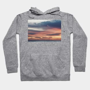 color palette Hoodie